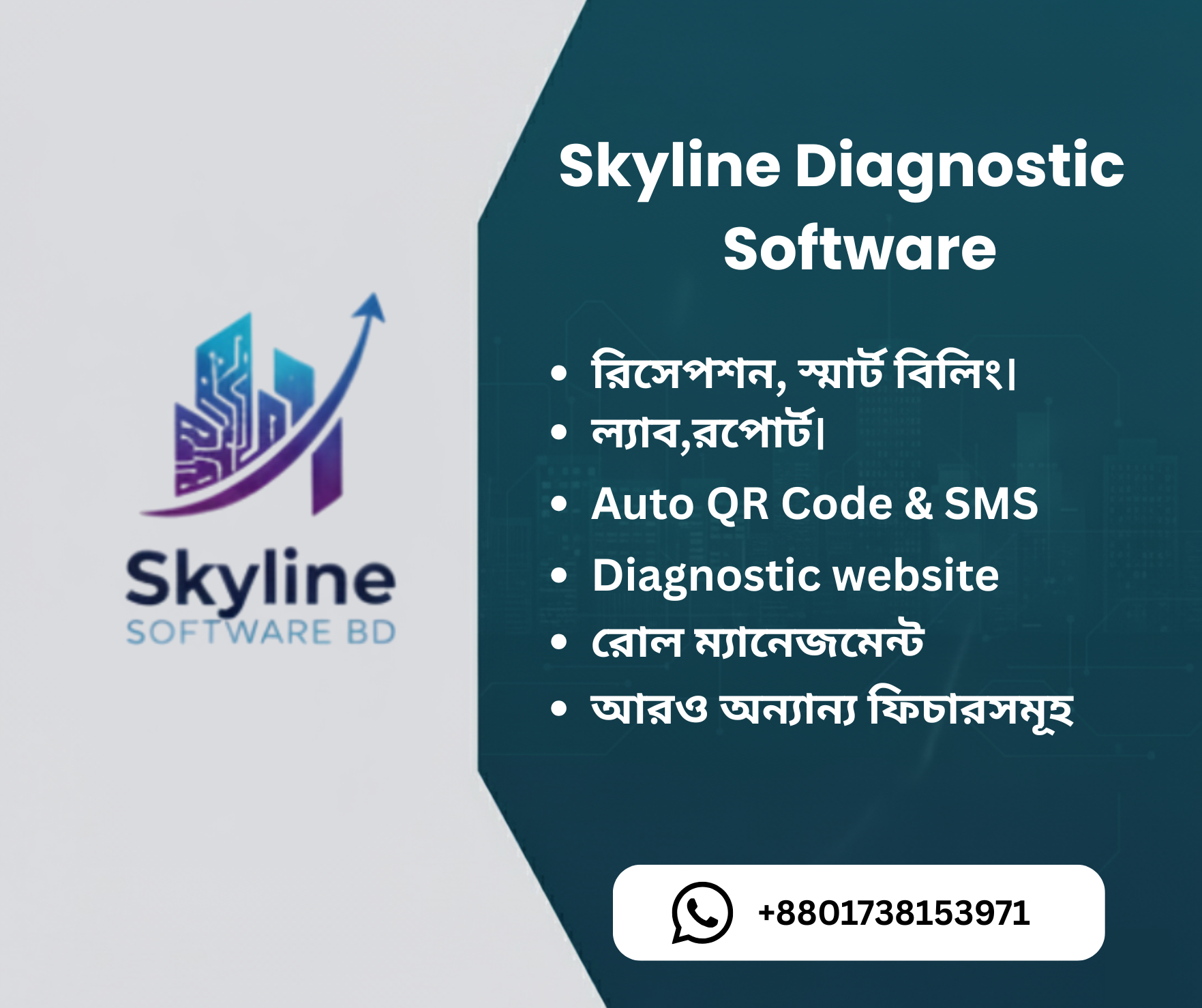 About Skyline BD